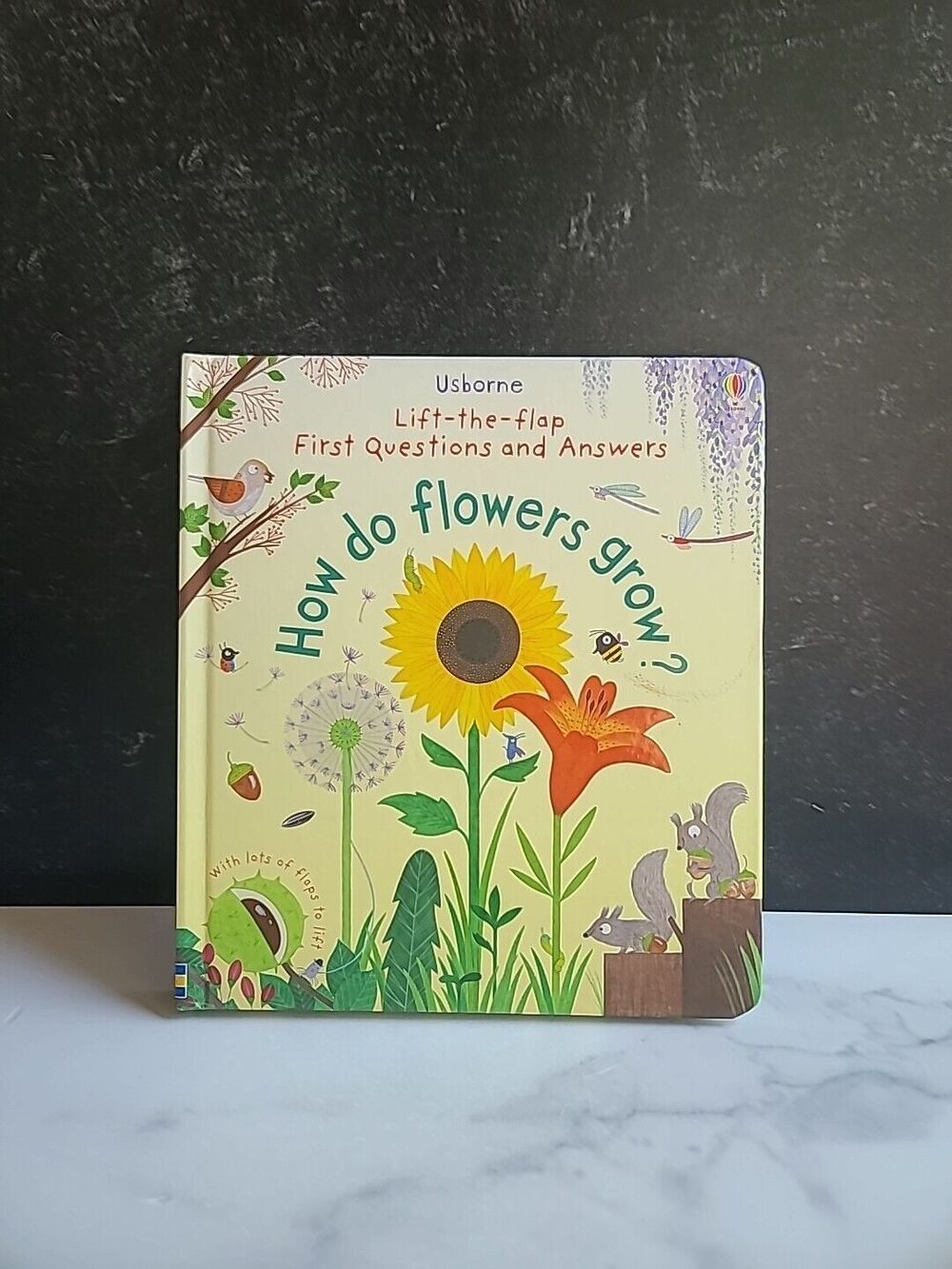 Lift-the-flap First Questions and Answers How Do Flowers Grow?